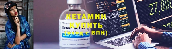индика Алексин