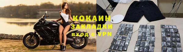 индика Алексин
