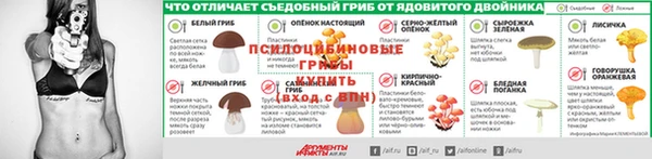 a pvp Абаза