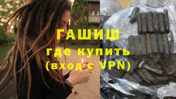 индика Алексин