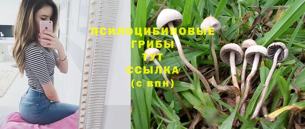 молекула духа Алексеевка