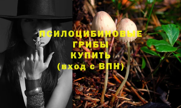 соль ск Алзамай