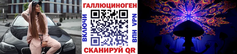 Галлюциногенные грибы Psilocybe Кемерово