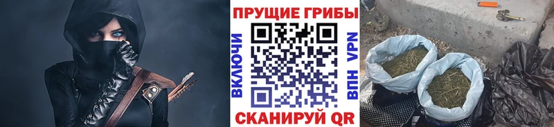 где можно купить   Кемерово  Псилоцибиновые грибы ЛСД 