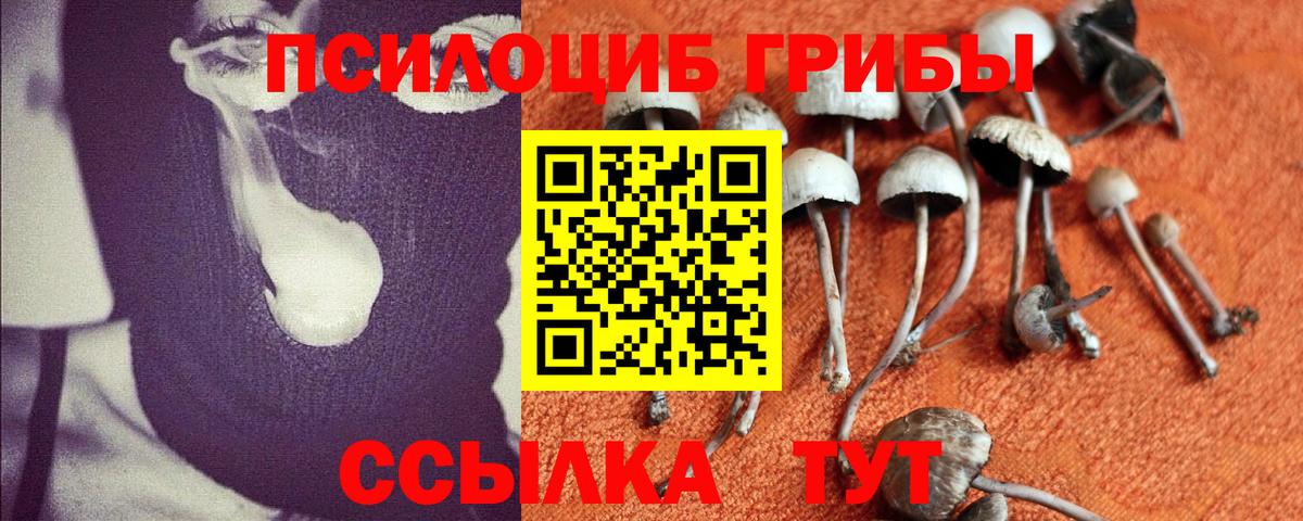 купить  сайты  Галлюциногенные грибы прущие грибы  Вход с VPN  Кемерово 